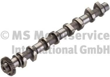 Camshaft 50007113