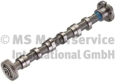 Camshaft 50007003