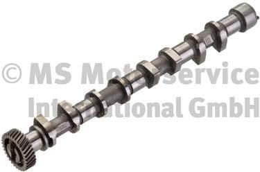 Camshaft 50007112