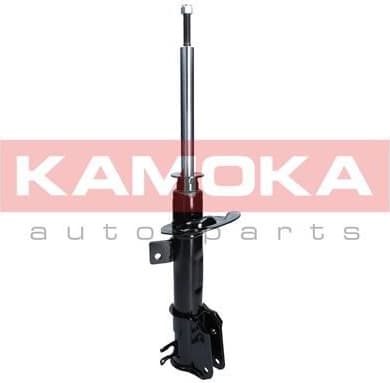 Shock Absorber 2000372