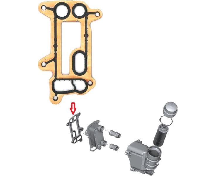 Gasket oil cooler 492.030
