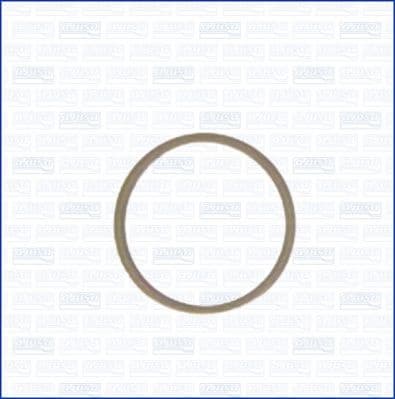 Seal Ring, oil drain plug 22004800 - image 2