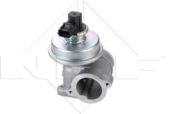 EGR Valve EASY FIT 48339
