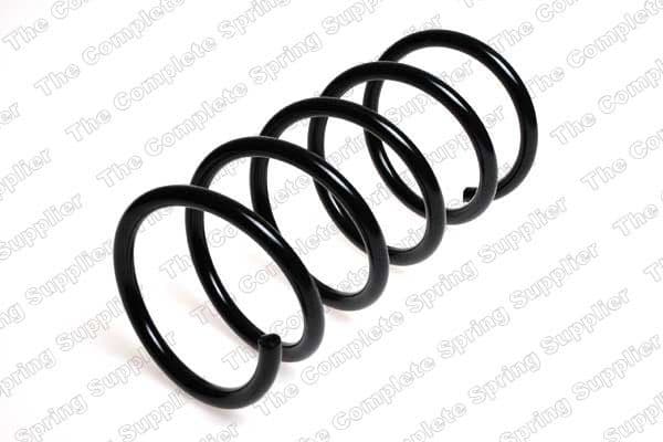 Suspension Spring 66006