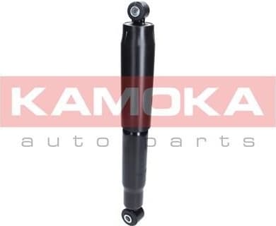Shock Absorber 2000887