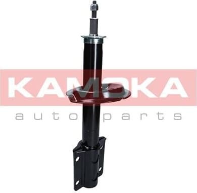 Shock absorber front 2001069