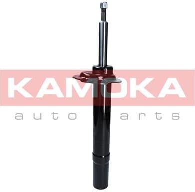 Shock absorber front 2000482