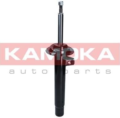 Shock absorber front 2000382