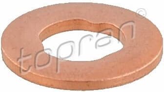 Seal Ring, injector 409 121