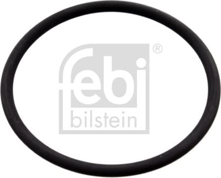 Seal, camshaft adjustment 100165
