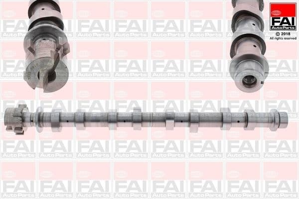 Camshaft C351