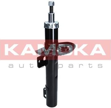 Shock absorber front 2001047