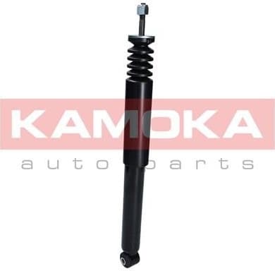 Shock Absorber 2000978