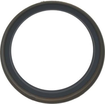 Seal Ring, steering knuckle 12006469B