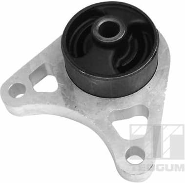 Mounting, differential 01164615