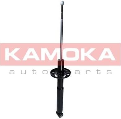 Shock absorber rear 2000977