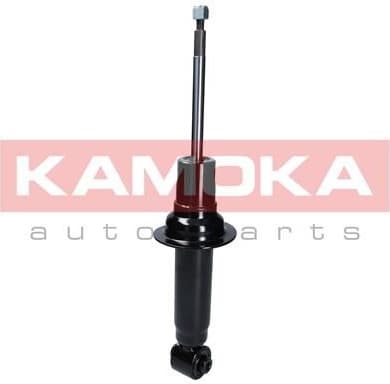 Shock absorber rear 2000680