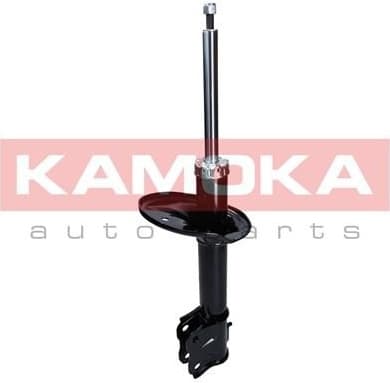 Shock Absorber 2000302