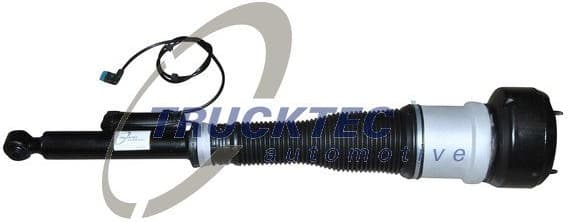 Air Suspension Strut 02.30.172