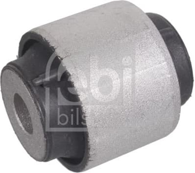 Mounting, control/trailing arm 102733