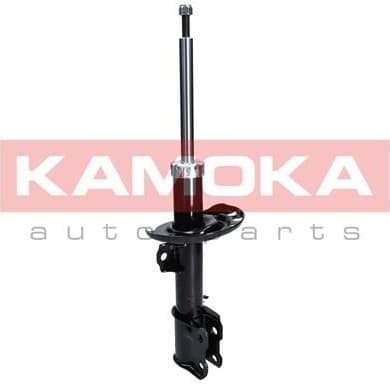 Shock absorber front 2000242