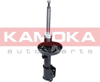 Shock absorber front 2000418