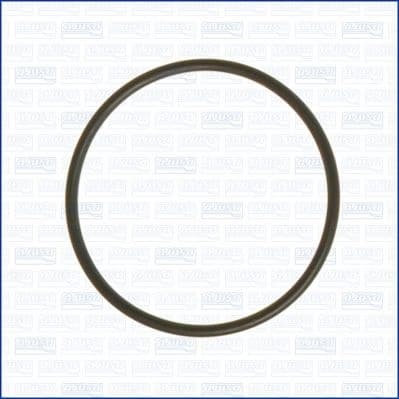 Gasket, intake manifold 16057900