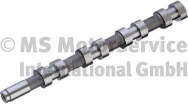 Camshaft 50007070