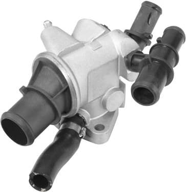 termostatas, aušinimo skystis