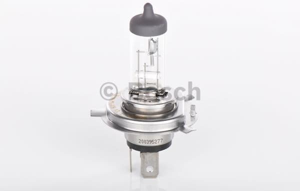 Bulb, front fog light Pure Light BL 1 987 301 001