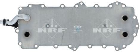 Oil Cooler, engine oil 31806