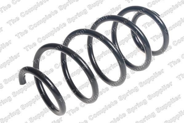 Suspension Spring 25119