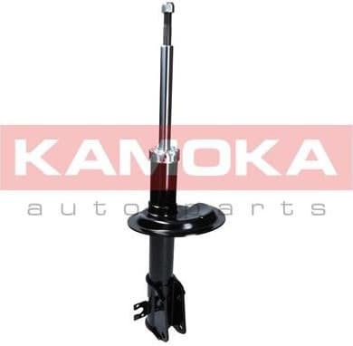 Shock Absorber 2000299