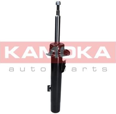 Shock absorber front 2000295