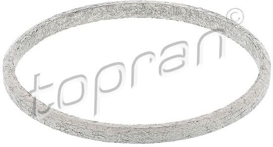 Gasket, exhaust pipe 117 909