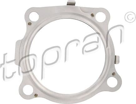 Gasket, exhaust pipe 305 093