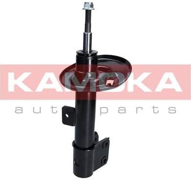 Shock absorber front 2000152
