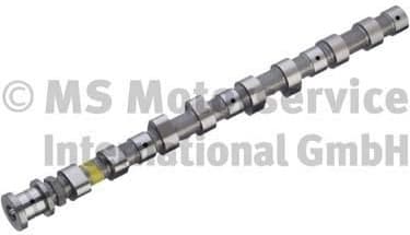 Camshaft 50007067