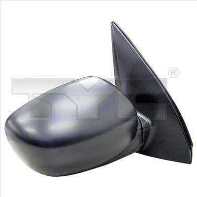 Exterior Mirror 313-0039