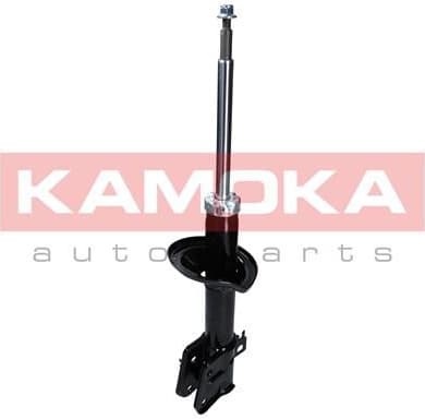 Shock Absorber 2000284