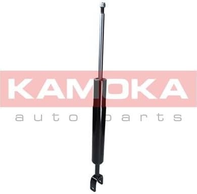 Shock Absorber 2000676