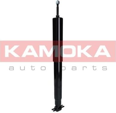 Shock Absorber 2000870