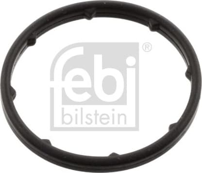 Seal Ring, oil cooler (lubrication) 101400