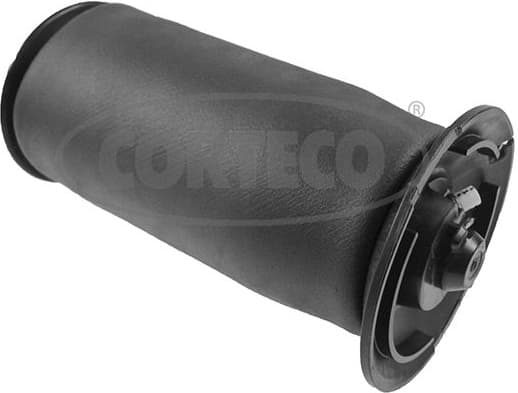 Air Spring, suspension 49430512
