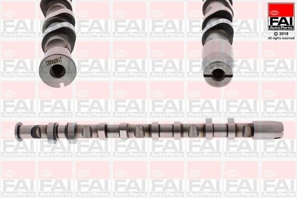 Camshaft C380