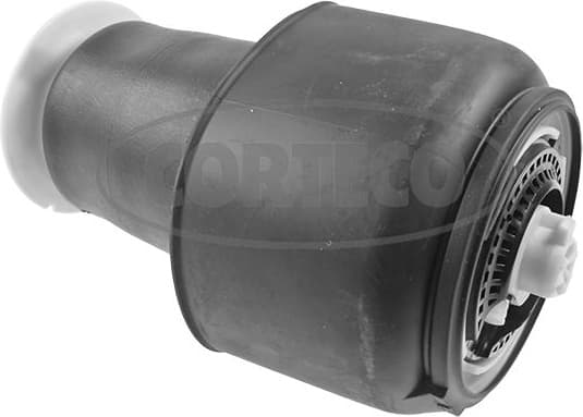 Air Spring, suspension 49430516