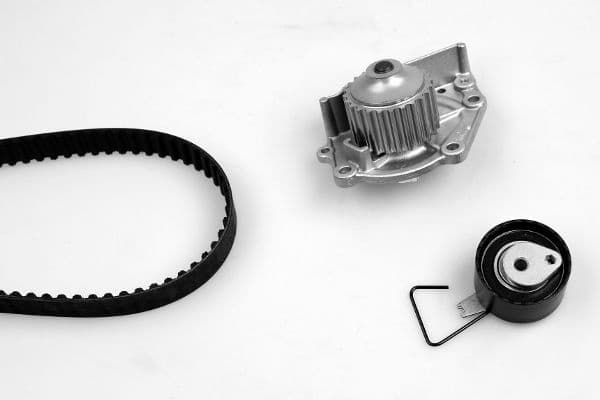 Water Pump & Timing Belt Kit PK00451