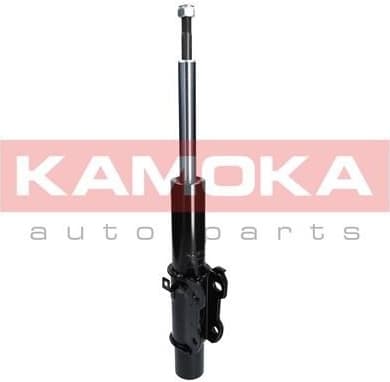Shock absorber front 2000110