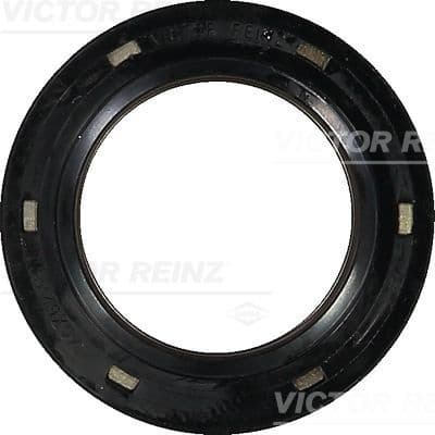 Shaft Seal, crankshaft 81-35035-00