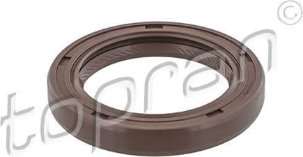 Shaft Seal, crankshaft 821 788